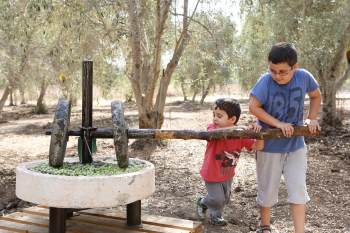 בית שמנא מסיק בשרון - אתר לגדול