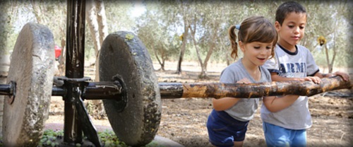 מסיק בשמנא