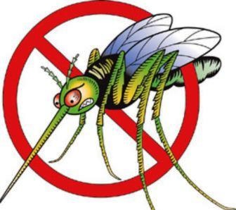להגן על הילד מיתושים