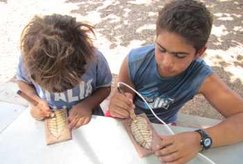 סוכות 2011 בדרך העץ