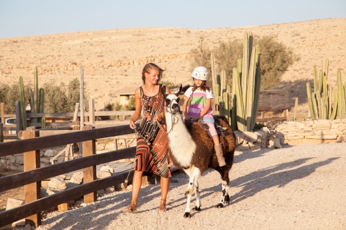 חוות האלפקות בנגב, טיולי משפחות במצפה רמון