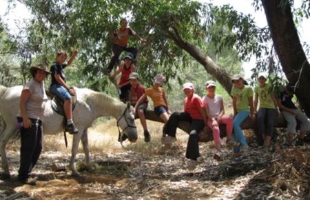 חוות סוסי אדמה