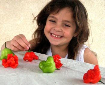 תחנת יאיר  חנוכה 2012