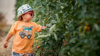 קטופותי בית לחם הגלילית