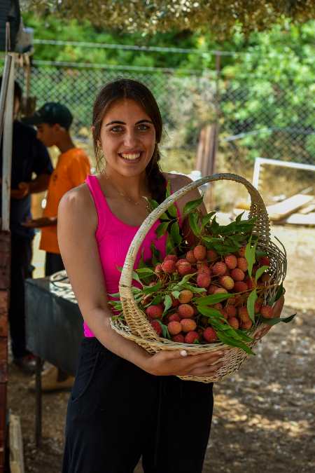 להתאהב בטבע קטיף עצמי בצפון