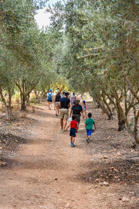 להתאהב בטבע סיור וקטיף ליצ'י