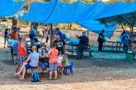 להתאהב בטבע פרגולות למנוחה ופיקניק