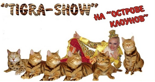 טיגרא שואו בארץ הליצנים