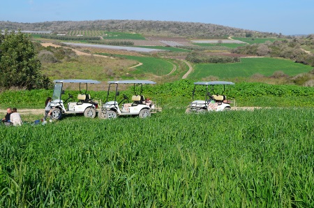 טיולים עם רכבים חשמליים טוקטוק אלונה