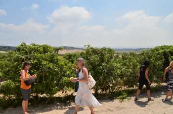 טוק טוק אלונה
