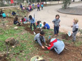 טו בשבט בצוק מנרה