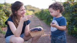 יקב משק אופיר (יקב יפתחאל)