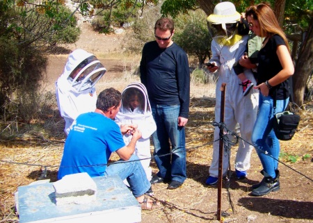 יערת הדבש באלוני אבא