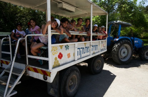 קיץ 2017 ביד מרדכי - אתר לגדול
