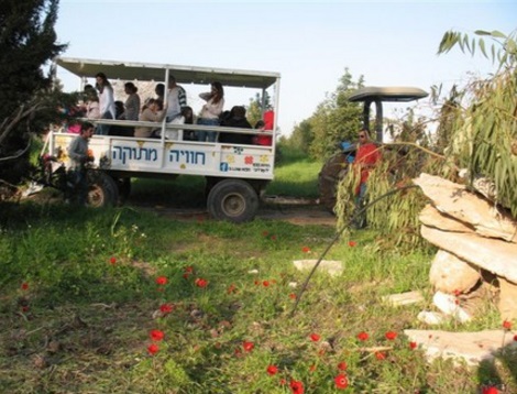 דרום אדום ביד מרדכי