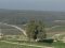 צעדת האגודה למלחמה בסרטן במצפה מודיעין בפסח
