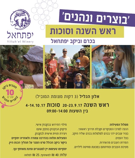 בציר ענבים ביקב יפתחאל ראש השנה וסוכות 2017