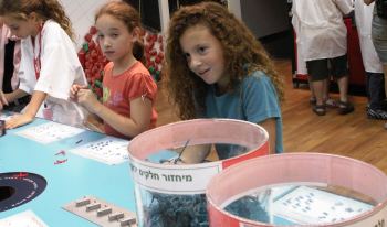 זרעים של פלסטיק-תפן