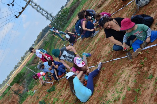 זורעים פקעות פרחי בר בתל אביב