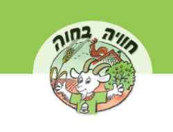 חוויה בחווה פעילות לילדים, רכיבה על סוסים