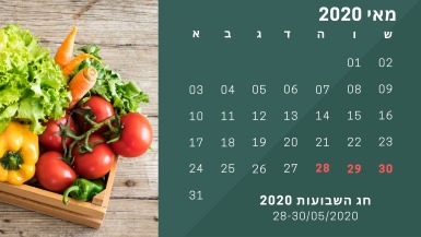 חופשת שבועות 2020 לוח חופשות אתר לגדול