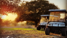 טוקטוק אלונה