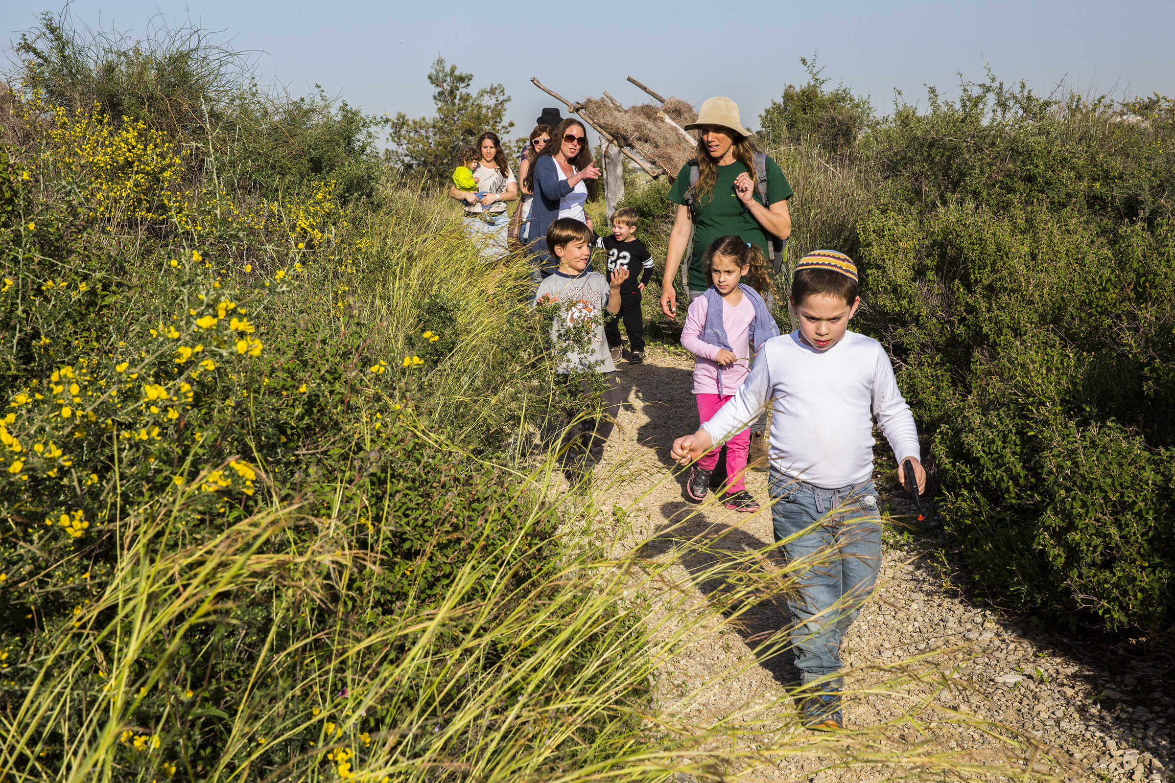 יום הבחירות בפארק נאות קדומים, לגדול
