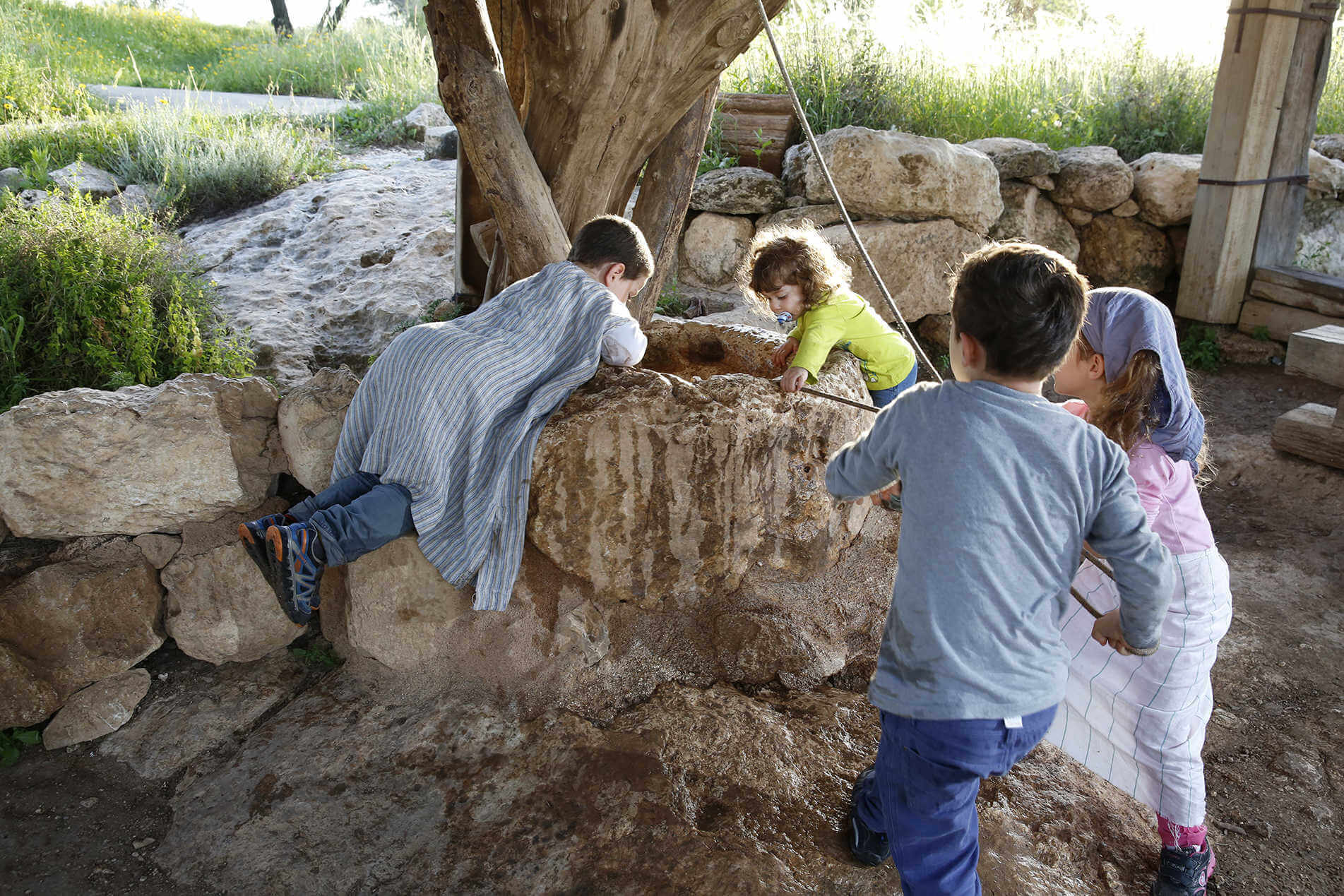 פארק נאות קדומים - לגדול