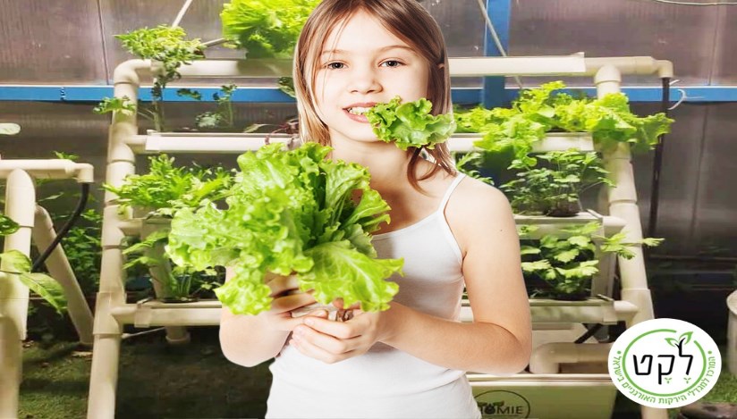 לקט- ירקות שמגדלים ילדים מאושרים